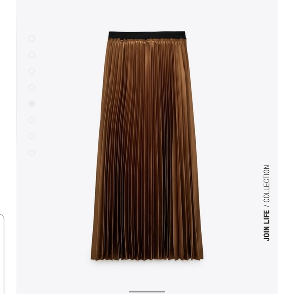 ZARA Pleated Skirt - Picture 4 of 4